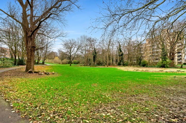 Foto 48 van Schie 17-H