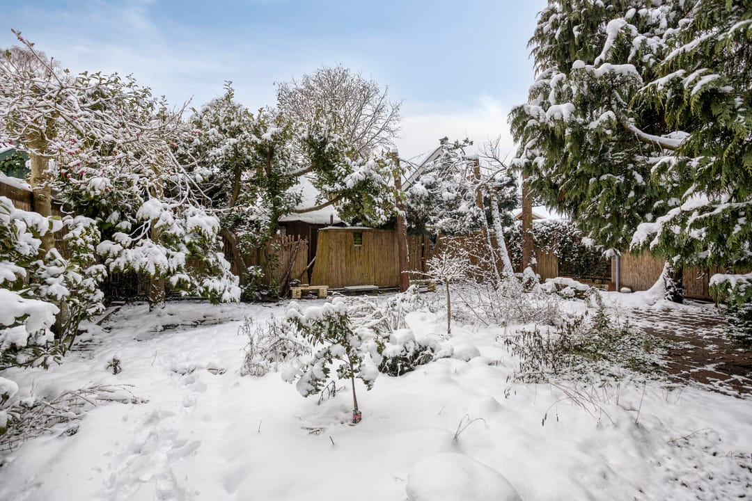 Foto 13 van Mendelssohnlaan 12