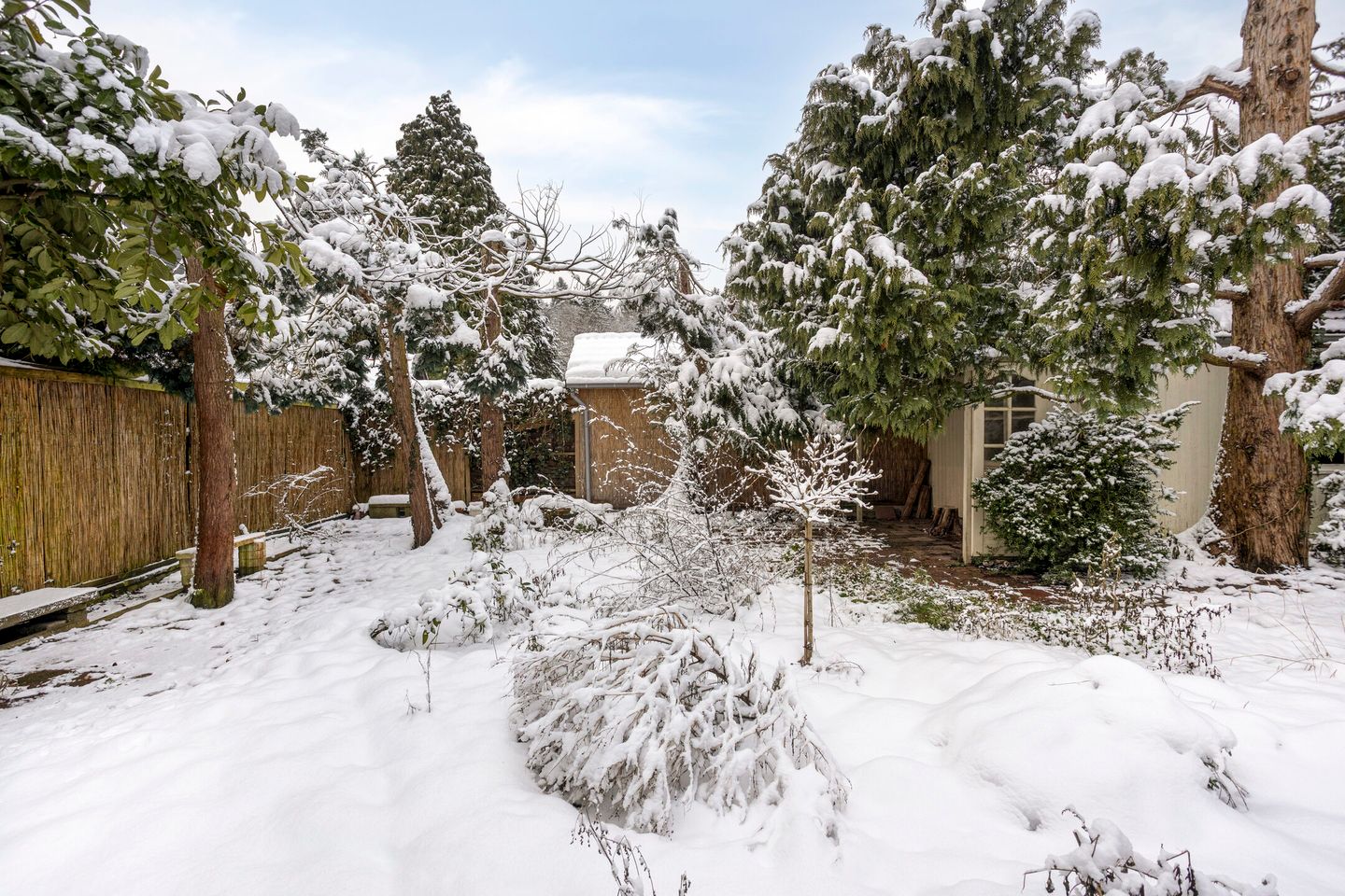 Foto 14 van Mendelssohnlaan 12