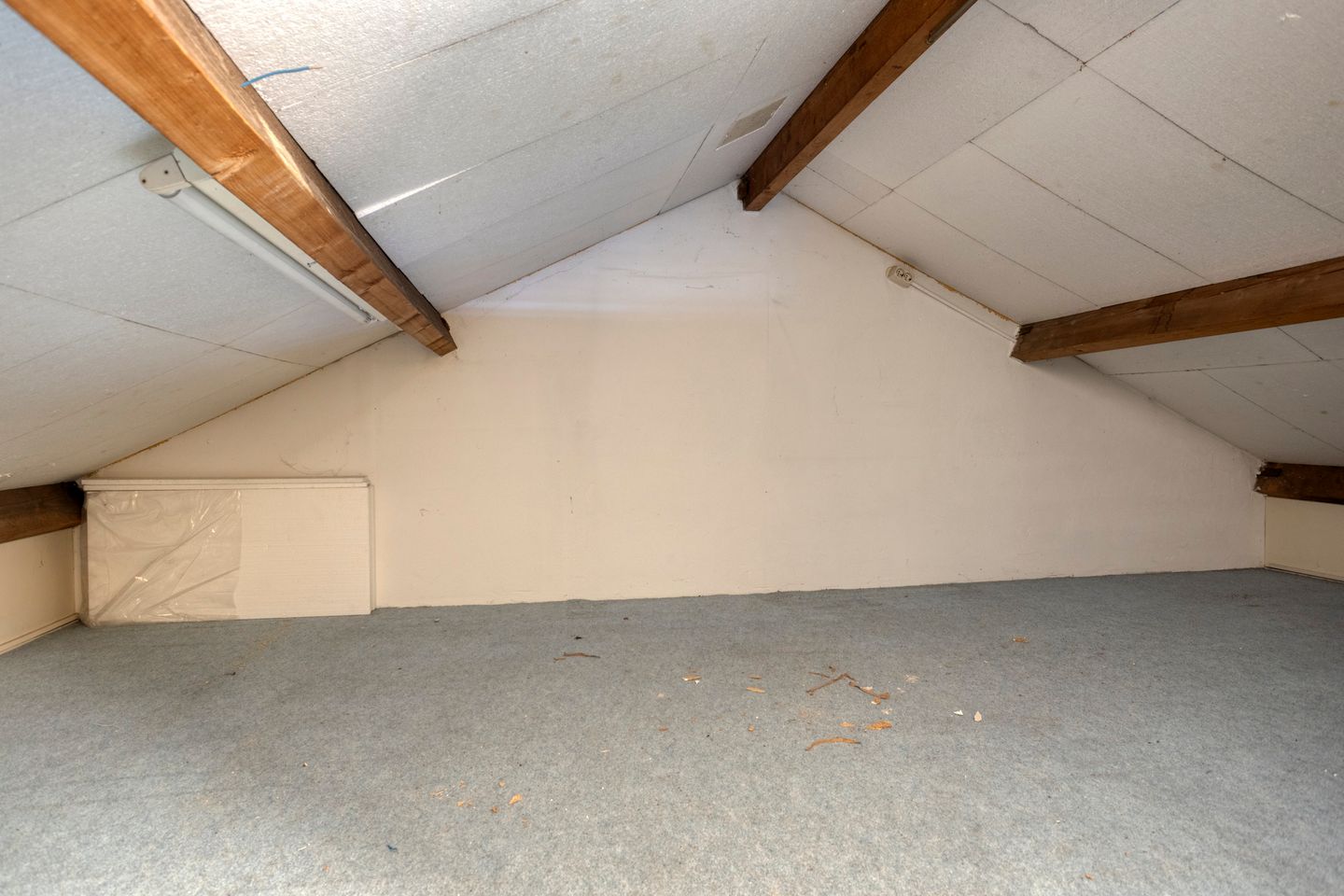 Foto 25 van Mendelssohnlaan 12