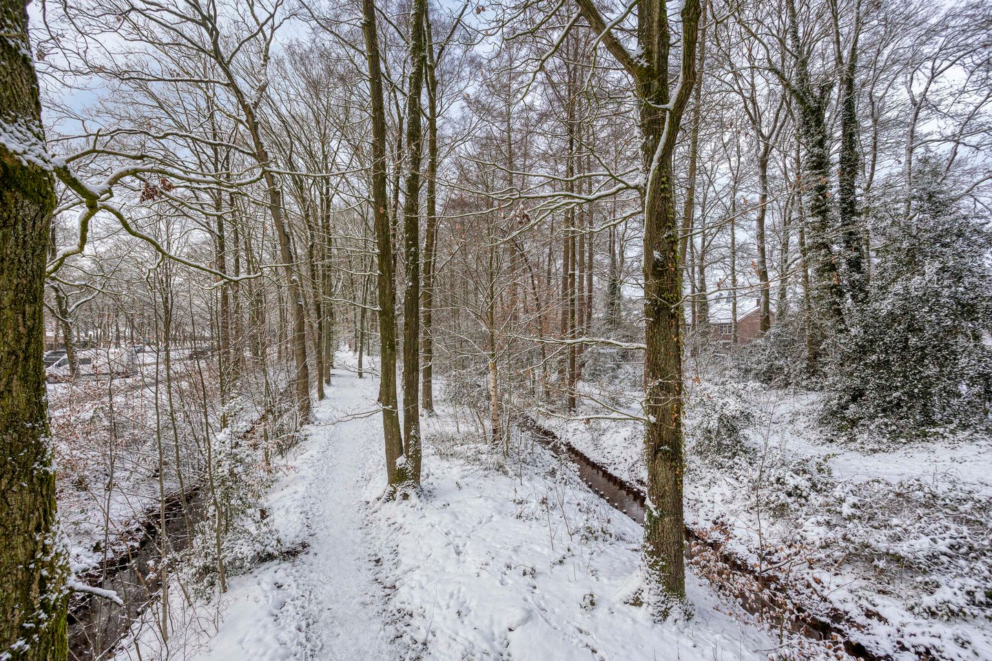 Foto 29 van Mendelssohnlaan 12