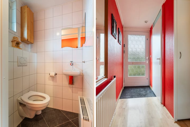 Foto 4 van Pinksterbloem 65