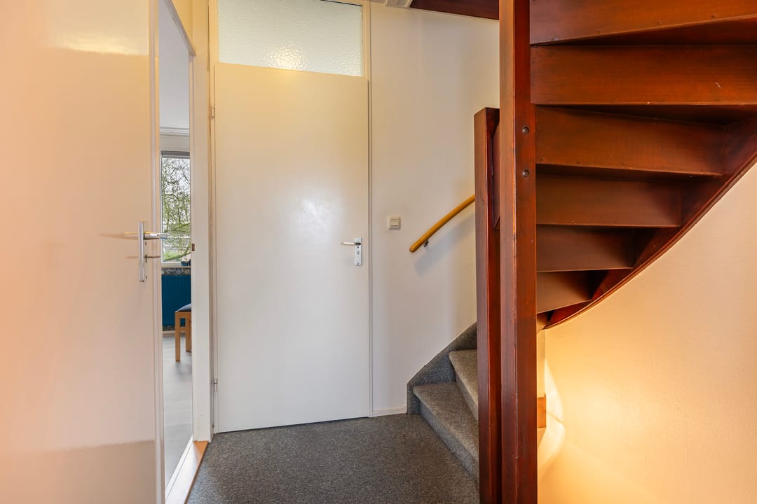 Foto 11 van Pinksterbloem 65