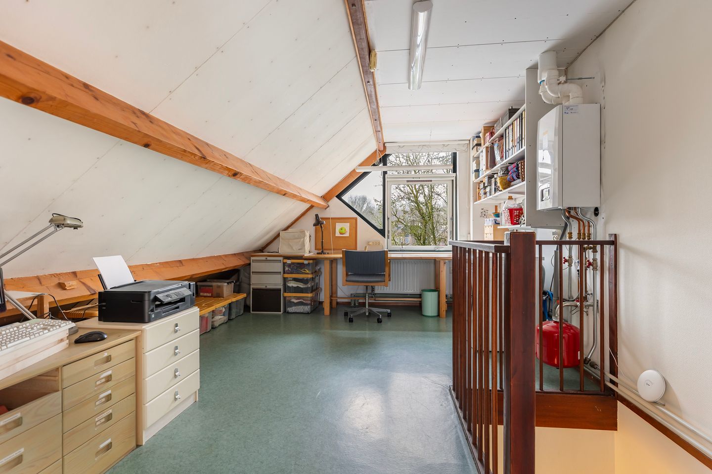 Foto 20 van Pinksterbloem 65