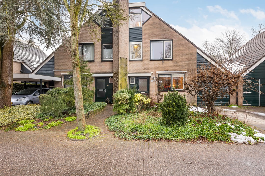 Foto 32 van Pinksterbloem 65