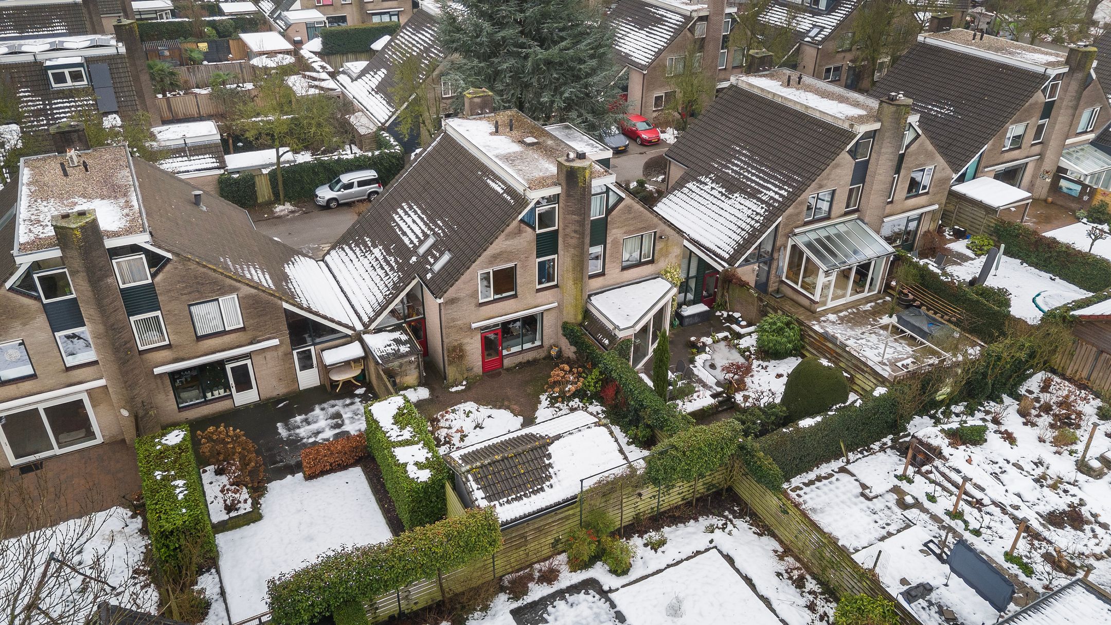 Foto 33 van Pinksterbloem 65