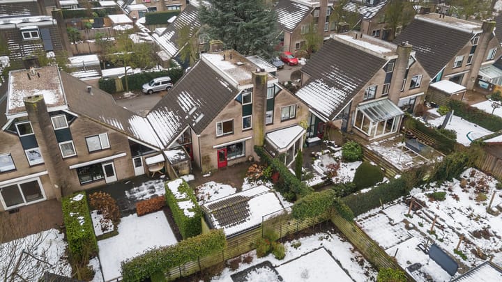 Foto 33 van Pinksterbloem 65