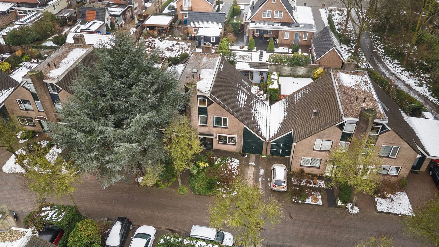 Foto 34 van Pinksterbloem 65