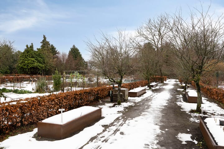 Foto 55 van Schoorswinkel 8