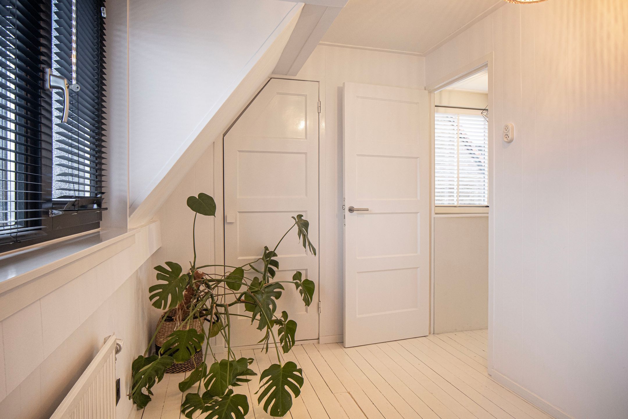 Foto 30 van De Savornin Lohmanstraat 76