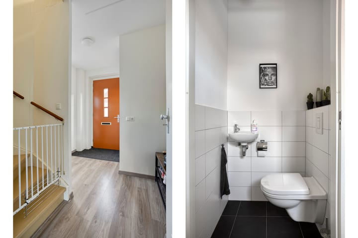 Foto 7 van Knelisroos 17