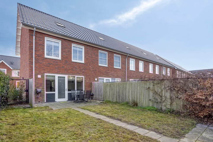 Foto 6 van Knelisroos 17