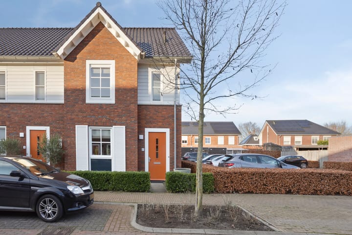 Foto 9 van Knelisroos 17