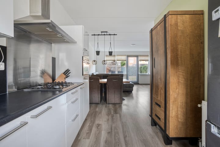 Foto 12 van Knelisroos 17