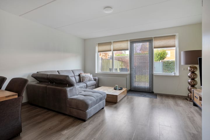 Foto 13 van Knelisroos 17