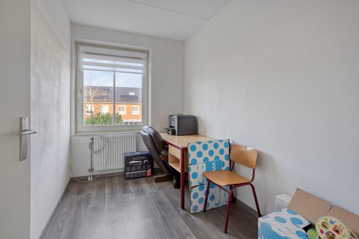 Foto 21 van Knelisroos 17