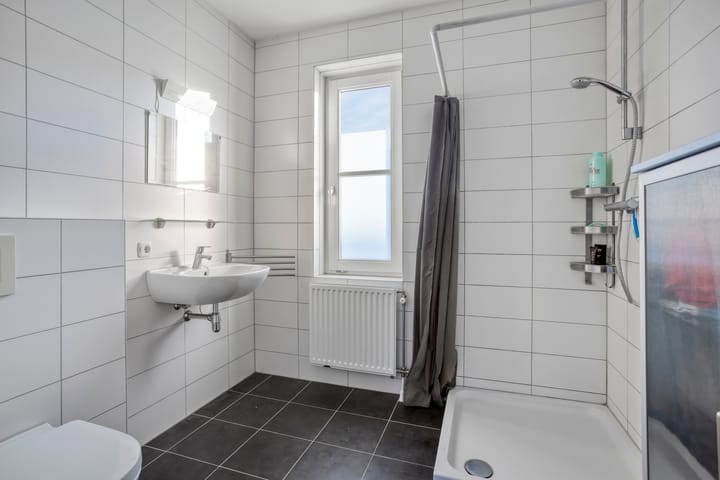 Foto 22 van Knelisroos 17