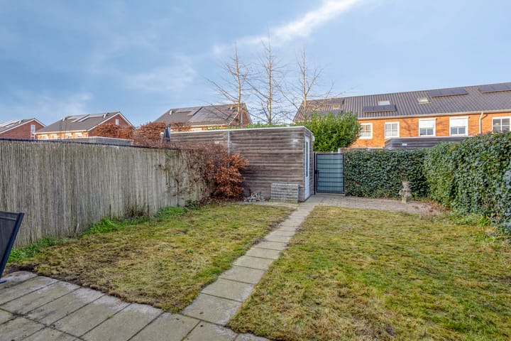 Foto 25 van Knelisroos 17