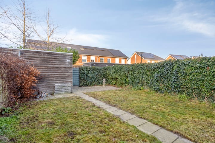 Foto 26 van Knelisroos 17