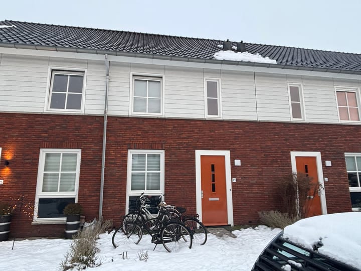 Foto 1 van Knelisroos 23