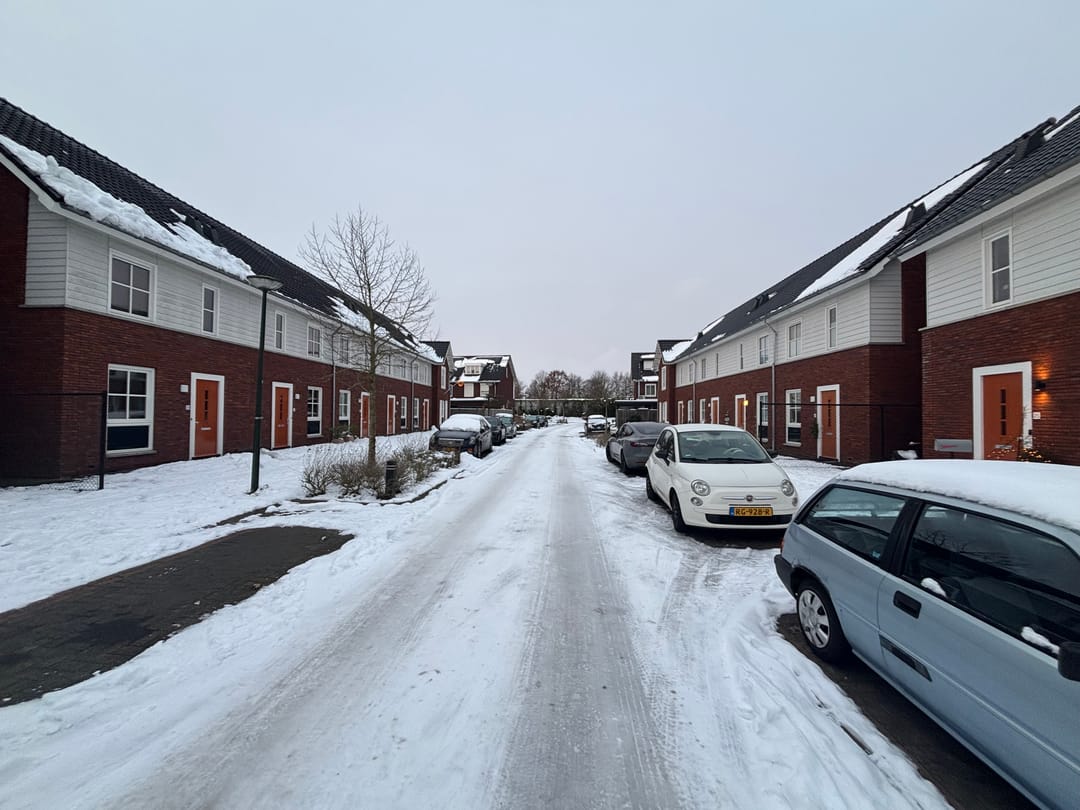 Foto 2 van Knelisroos 23