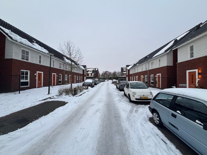 Foto 2 van Knelisroos 23