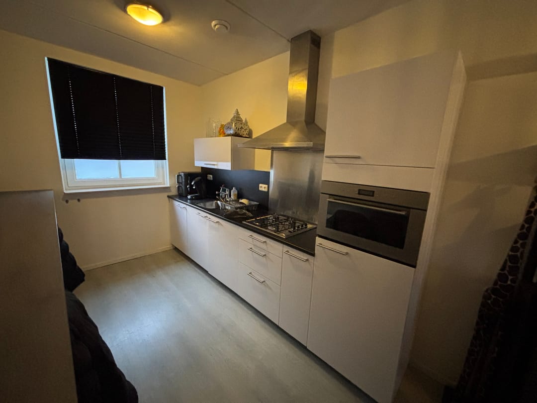 Foto 7 van Knelisroos 23