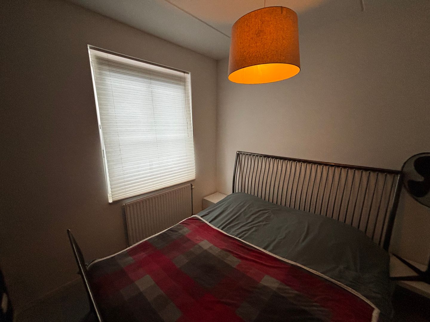 Foto 10 van Knelisroos 23