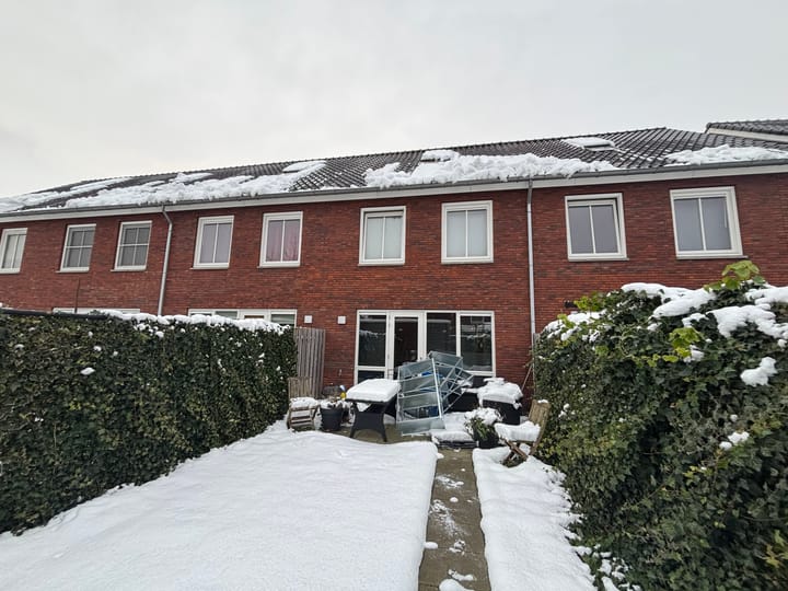 Foto 17 van Knelisroos 23