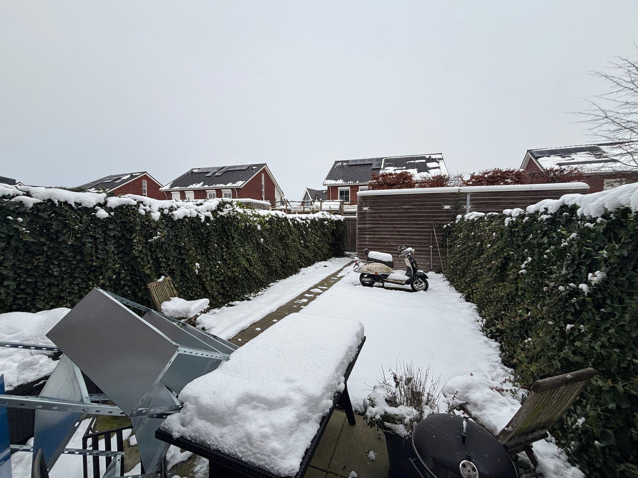 Foto 18 van Knelisroos 23