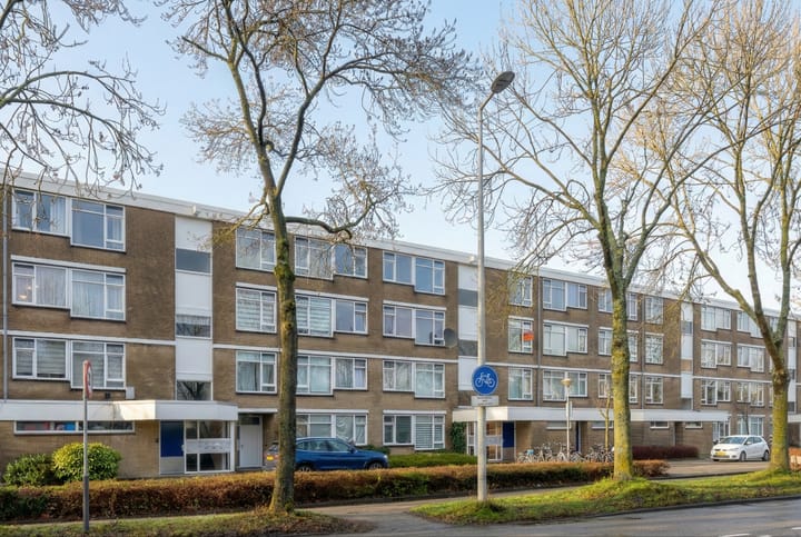 Foto 3 van Westerlengte 89