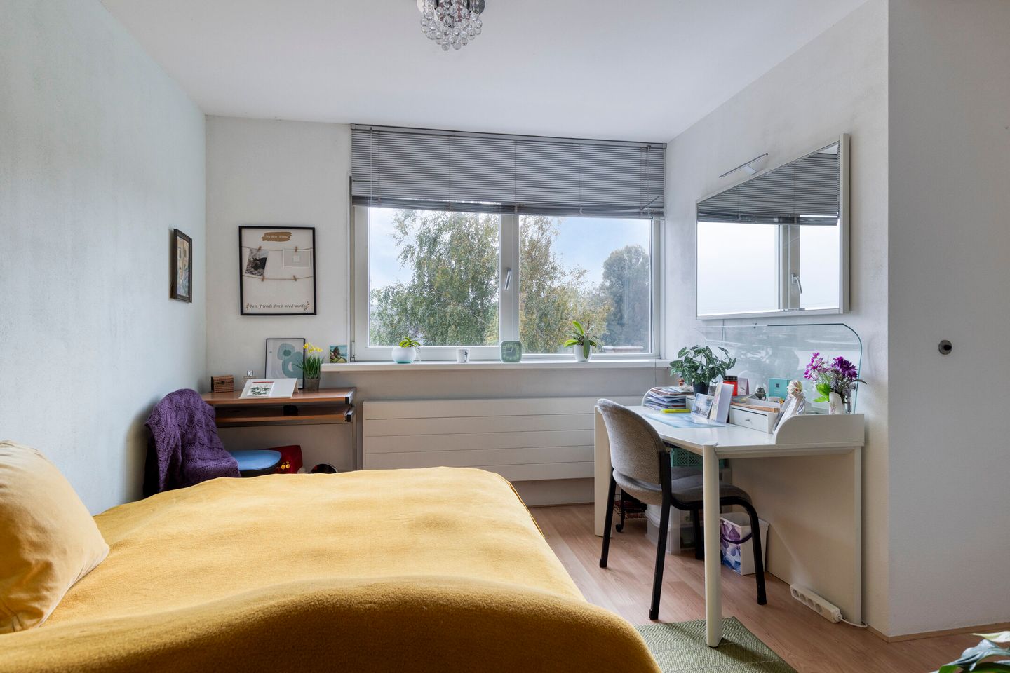 Foto 34 van Terneuzenstraat 13