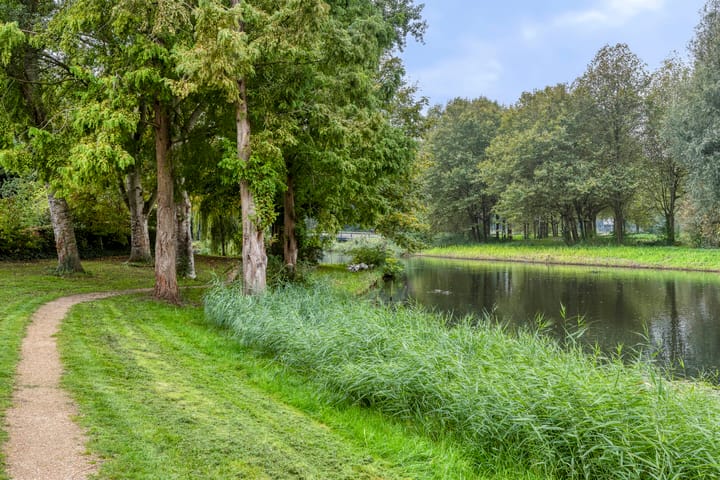 Foto 40 van Terneuzenstraat 13