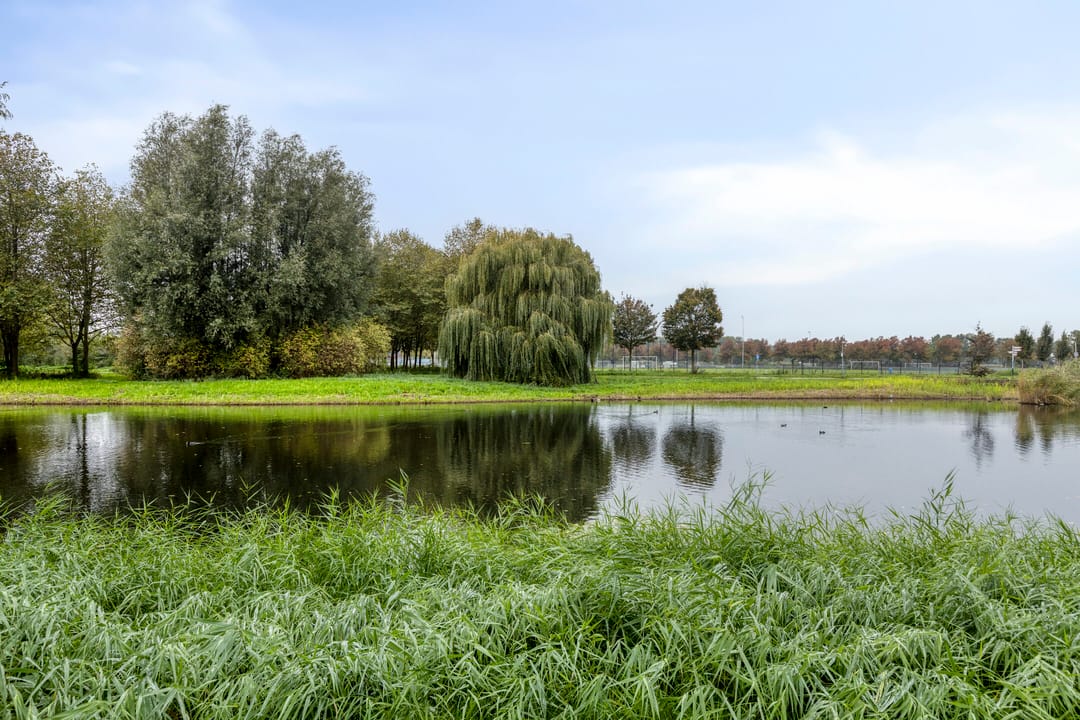 Foto 41 van Terneuzenstraat 13