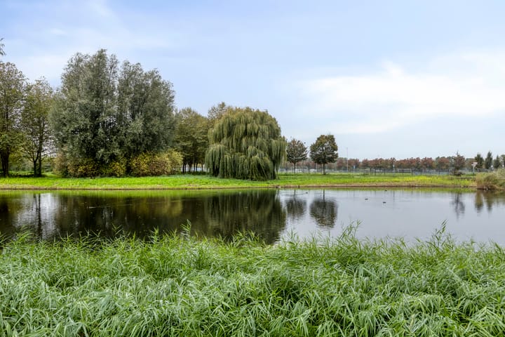 Foto 41 van Terneuzenstraat 13