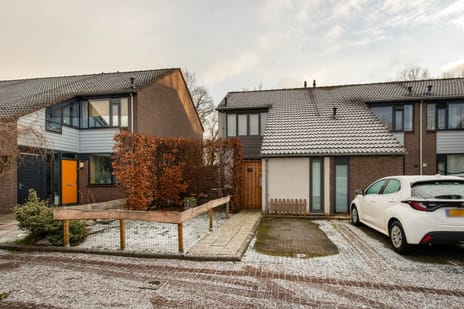 undefined main image