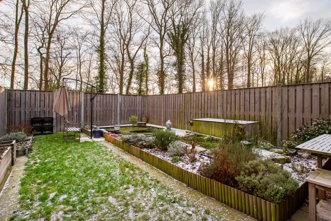 Photo 23 of de Narcis 14