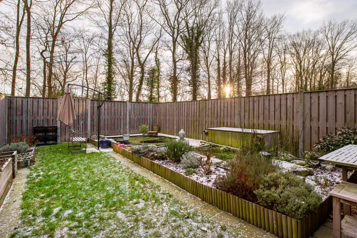 Foto 23 van de Narcis 14