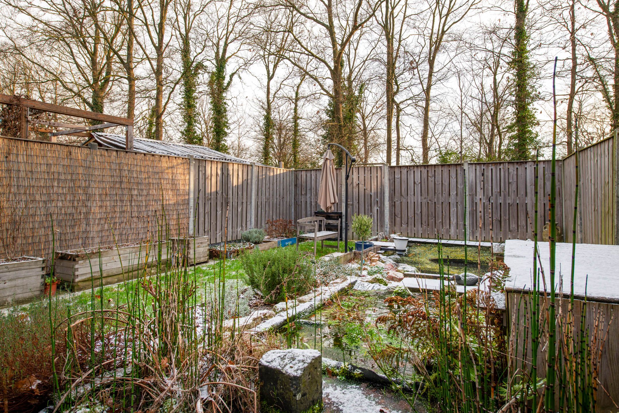 Photo 24 of de Narcis 14