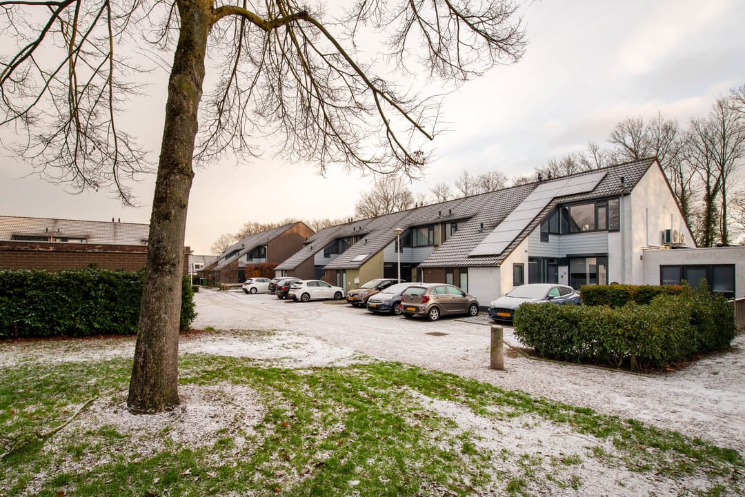 Photo 31 of de Narcis 14