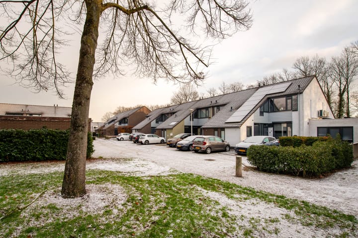 Foto 31 van de Narcis 14