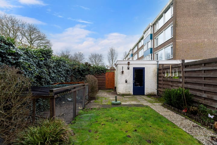 Foto 36 van Wielingenstraat 38