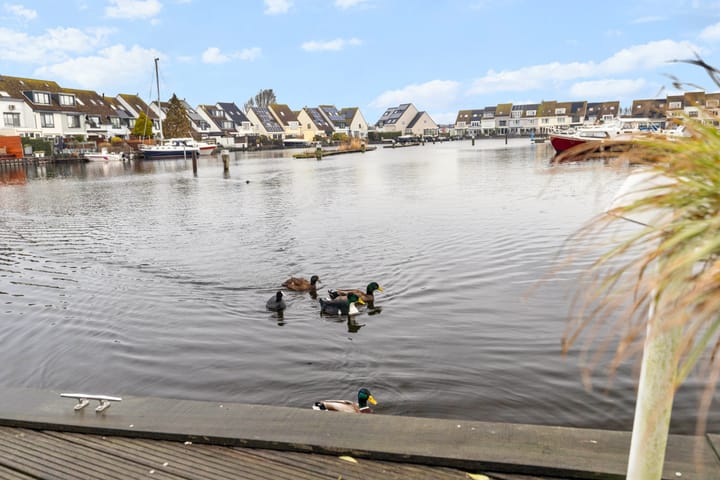 Photo 48 of Pluto 162