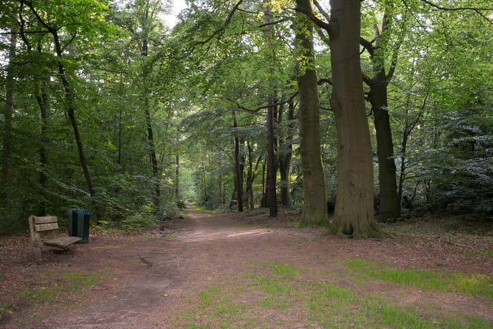 Foto 49 van Asakkerweg 29