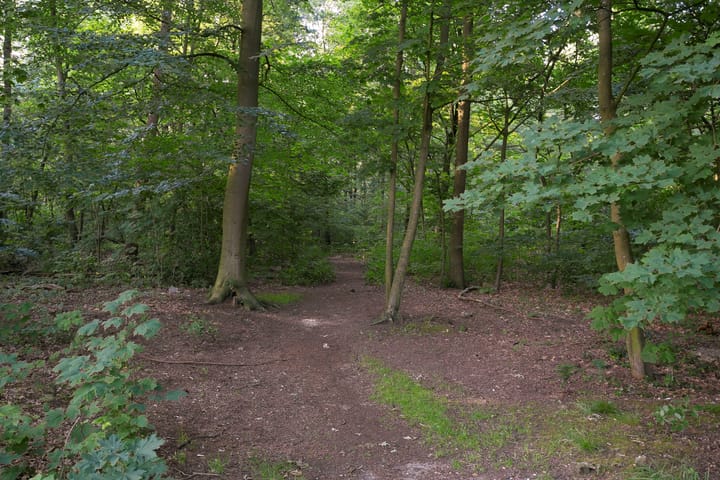 Foto 50 van Asakkerweg 29