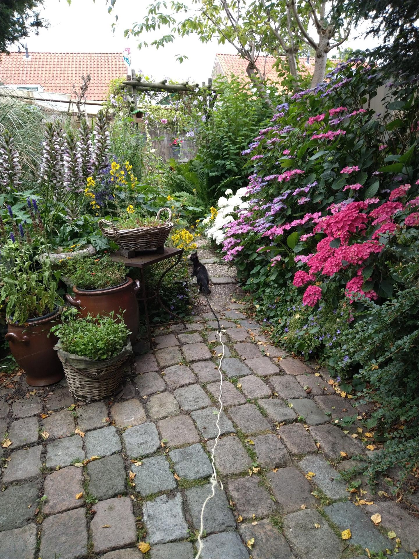 Foto 50 van Voorkamp 33