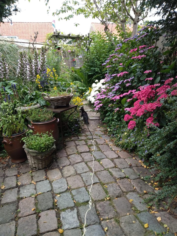 Foto 50 van Voorkamp 33