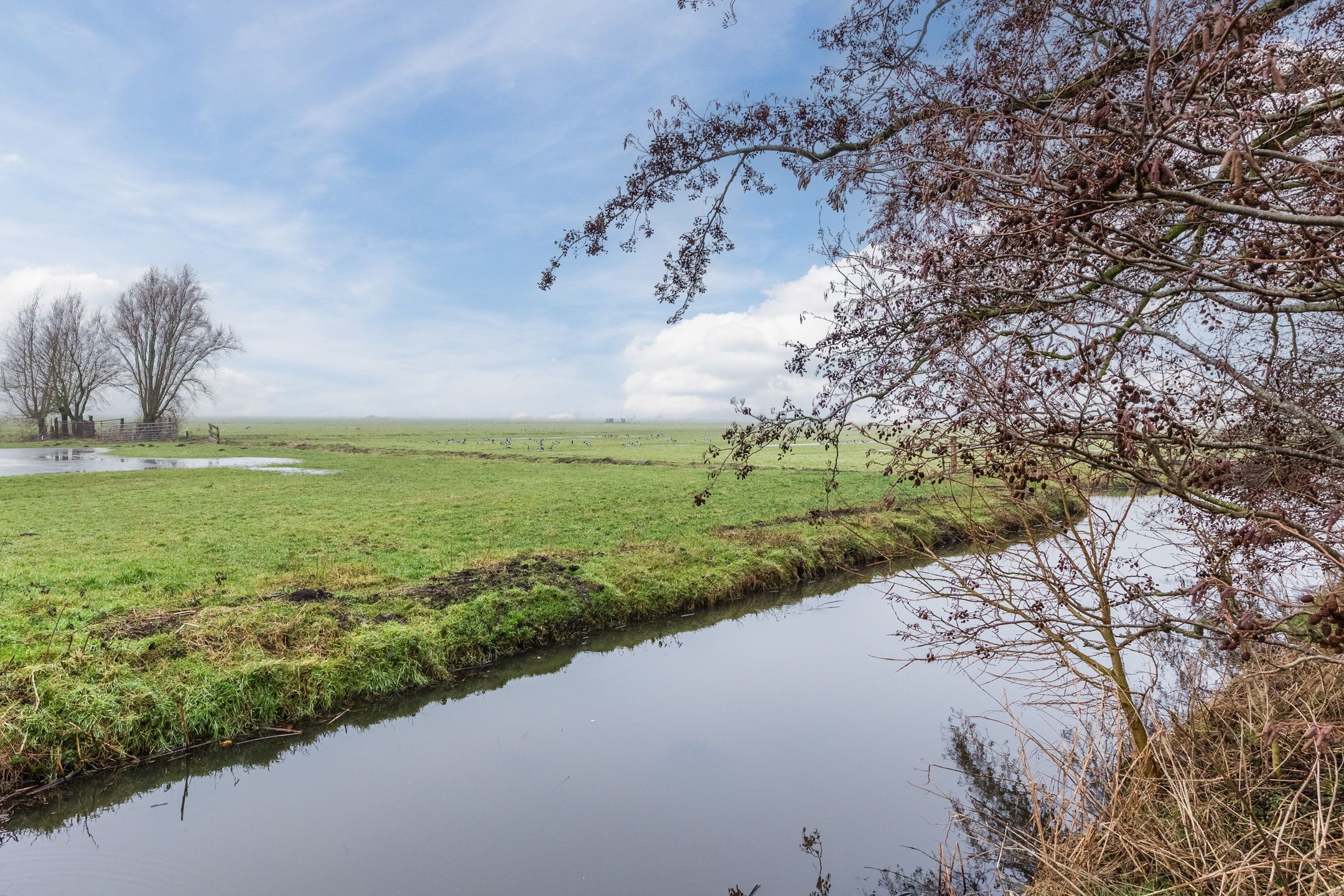 Foto 63 van Voorkamp 33