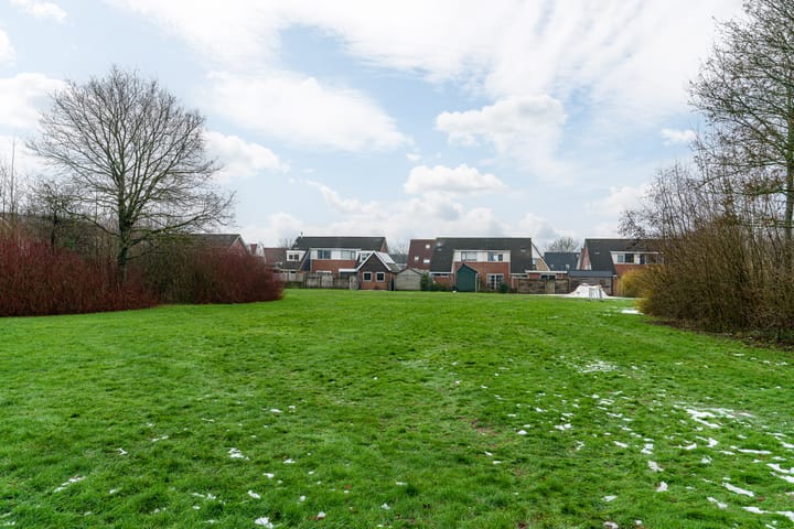 Foto 6 van Bruneel 29