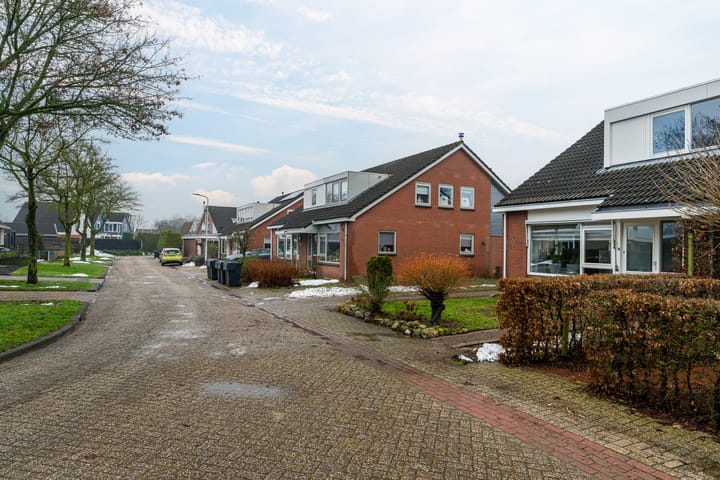 Foto 7 van Bruneel 29